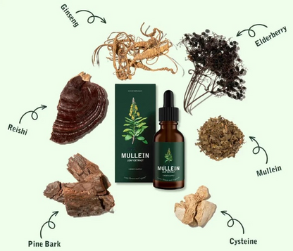 ChicAddOns Mullein™ + Chlorophyll