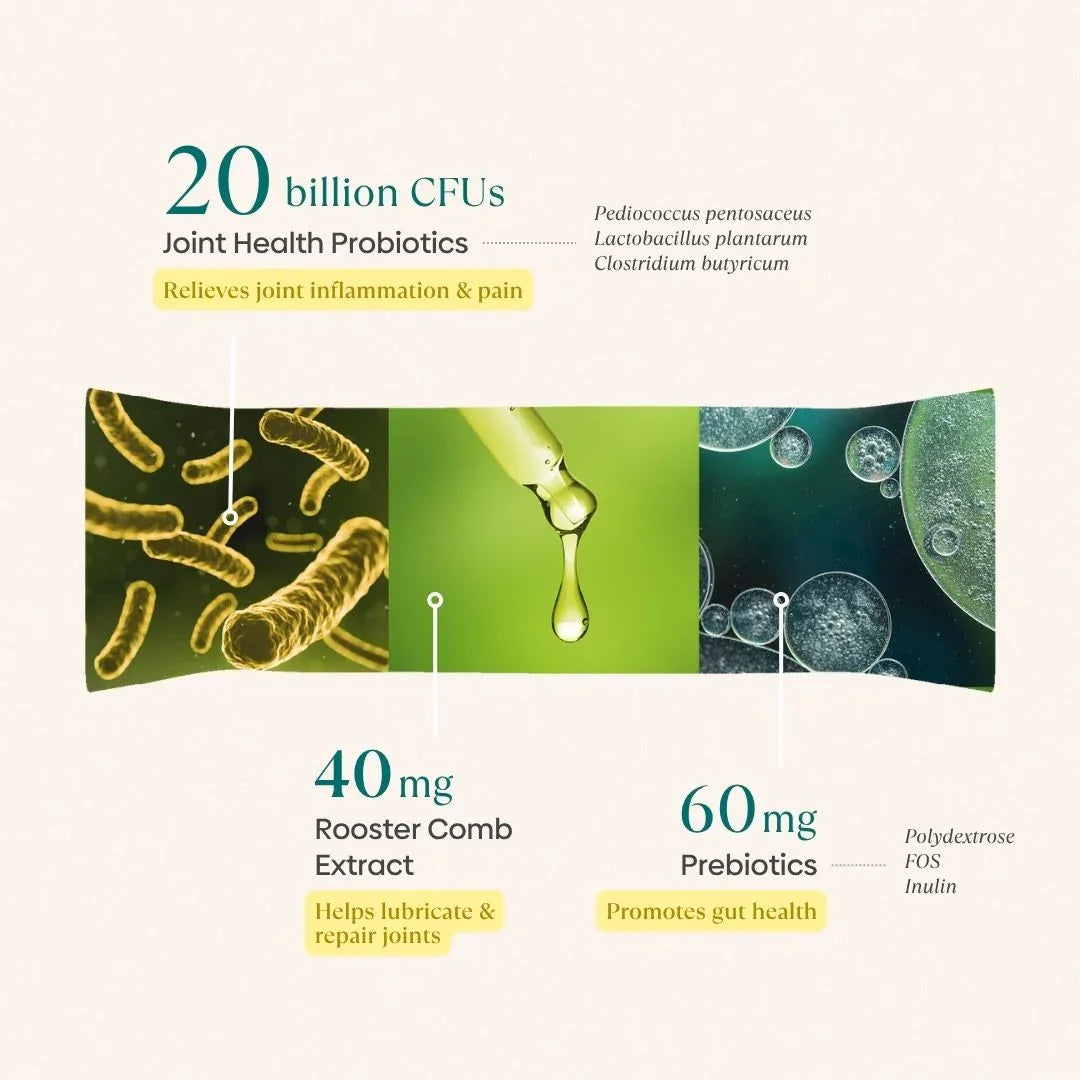 Joint Pre+Probiotic Melts